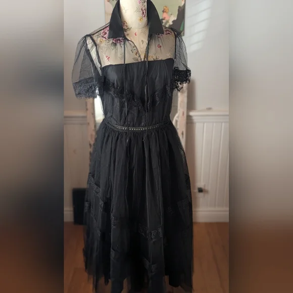 Elegant Black Sheer Dress - Picture 3 of 10